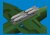 6481152_S-199 4xETC 50 rack with bombs PRINT_2.jpg