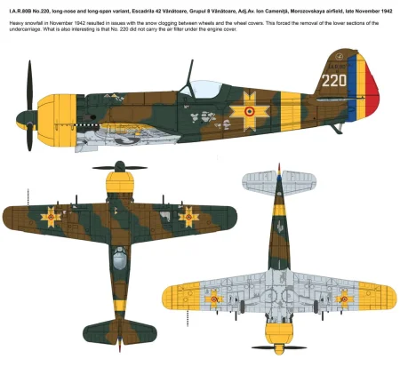 ibg-72567-IAR-80-B (1).jpg