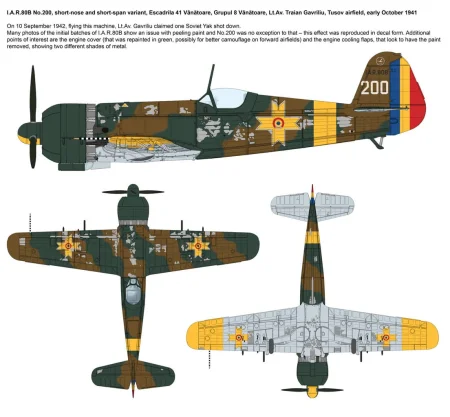 ibg-72567-IAR-80-B (2).jpg