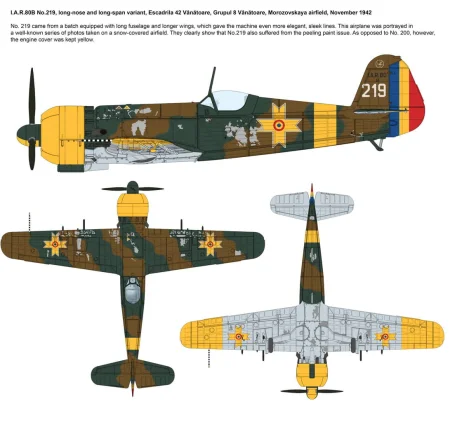 ibg-72567-IAR-80-B (5).jpg