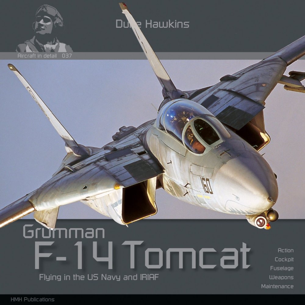 DH037-Tomcat-001.jpg