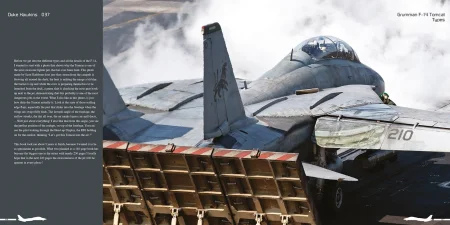 DH037-Tomcat-002.jpg