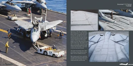 DH037-Tomcat-003.jpg