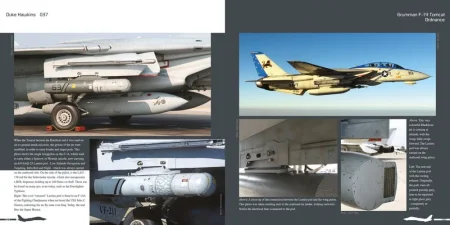 DH037-Tomcat-008-999x500.jpg