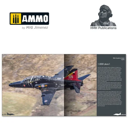 bae-systems-hawk.jpg