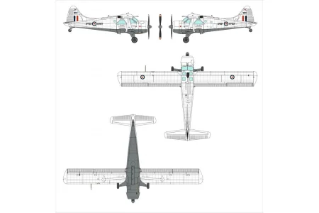 Dora-Wings-72041 (5).jpg