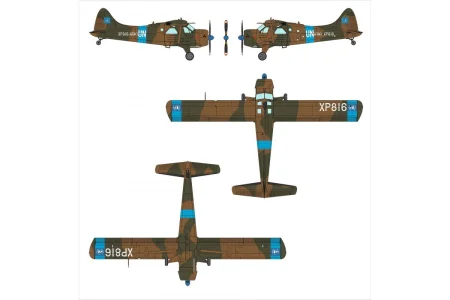 Dora-Wings-72041 (7).jpg