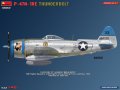 miniart-48062 (3).jpg