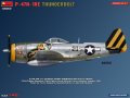 miniart-48062 (5).jpg