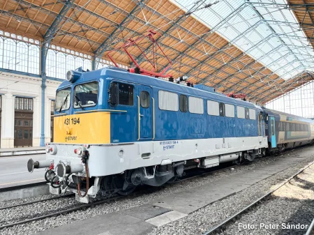 51449.jpg