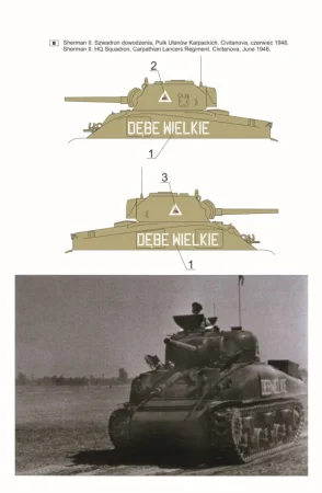 16d03b.jpg