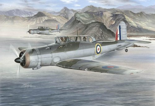 Go to product SPECIAL HOBBY 48046 - 1:48 Blackburn Skua Mk.II Norwegian Campaign