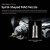 gaahleri-aerograf-ghpm-mobius-tg-premium-series-7.jpg