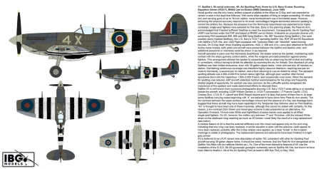 IBG-72591-Spitfire-Mk Vb-Black-Box-Limited-Edition (18).jpg