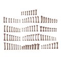 AKBIT013_02.jpg