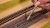 rs_11576_RS11576_09367_A3.jpg