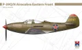 Hobby-2000-48046-P-39QN-Airacobra-Eastern-Front (1).jpg