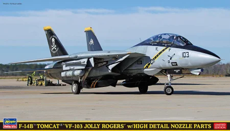 Hasegawa-SP673-tomcat (1).jpg