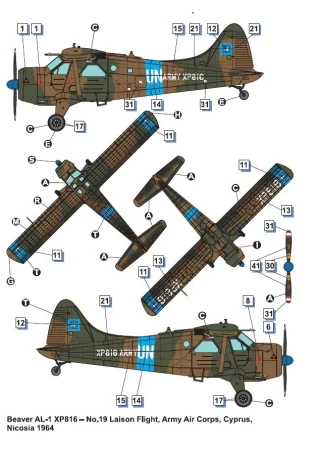 dora-wings-48062-beaver (7).jpg