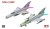 RFM-6001-MiG-21MF (2).jpg