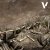 vallejo-26218-dark-earth-2.jpg