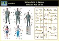 35185_2.jpg