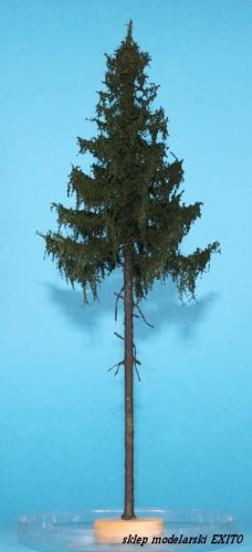 Go to product FREON SWP0 - High trunk spruce 25-30 cm