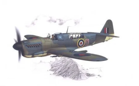 48127.jpg