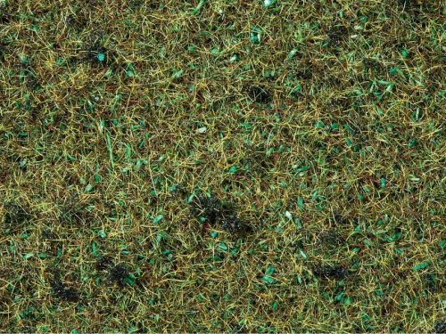 Go to product NOCH 08157 - Scatter Grass Forest Floor 120 g (grass 2.5 mm )