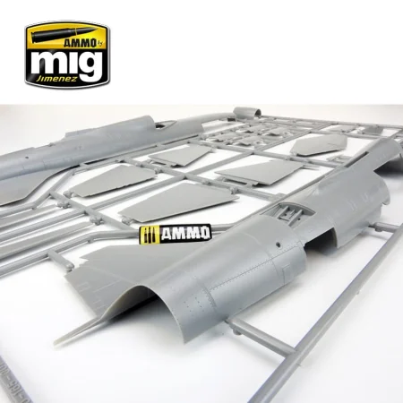 AMIG-8504 (9).jpg