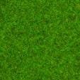 NOCH 08314 - Scatter Grass Ornamental Lawn 20 g