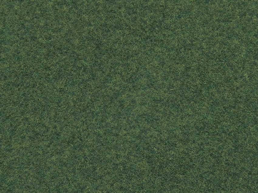 08322.jpg