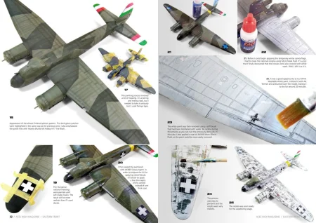 ak 2919 (3).jpg