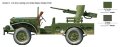 6555_profWEB-D-LR.jpg