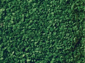 NOCH 07154 - Leaves Middle Green 100 g