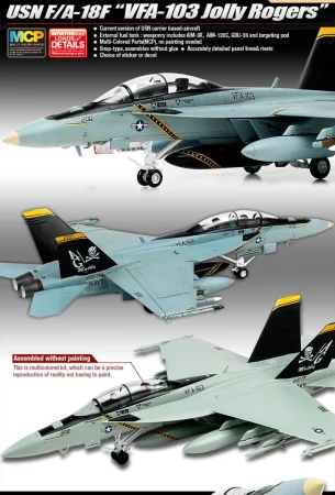 12535_FA-18F_main_eng - Kopia.jpg