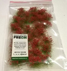 FREON KW2 - Clumps of grass with red flowers 7-12 mm