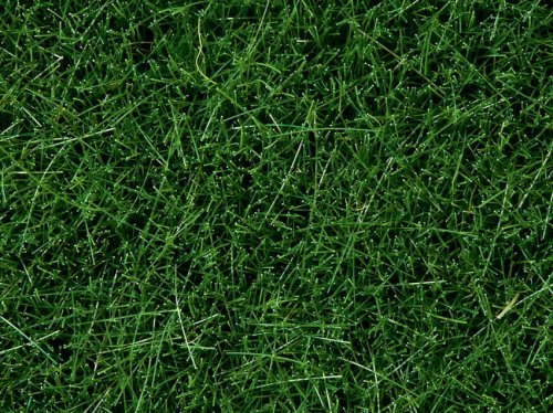Go to product NOCH 07094 - Wild Grass Dark Green 100g (grass 6mm)