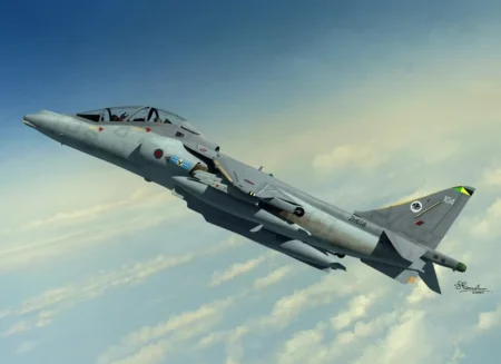 sw72099-harrier-t1012.jpg