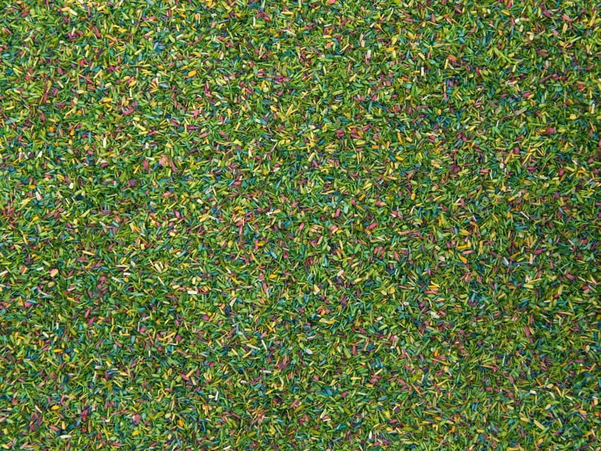 08370.jpg