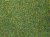 08370.jpg