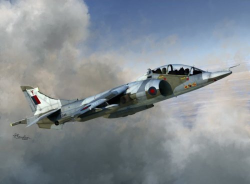 Go to product SWORD 72098 - 1:72 Harrier T.Mk.2/2A/4/4N