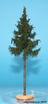FREON SWP1 - High trunk spruce 18-20 cm