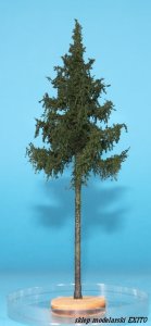 FREON SWP1 - High trunk spruce 18-20 cm