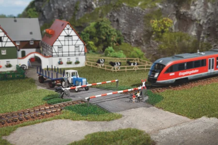 41582 2.jpg