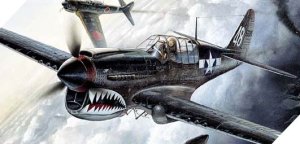 ACADEMY 12465 - 1:72 P-40 M/N Warhawk