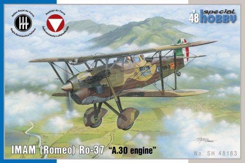 Go to product SPECIAL HOBBY 48183 - 1:48 IMAM (Romeo) Ro.37 A30 engine