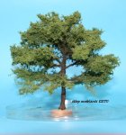 FREON DAB1 - Oak - ht. 16-18 cm