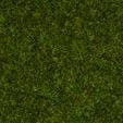 NOCH 08312 - Scatter Grass Meadow 20 g