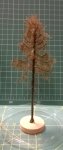 FREON MSU2 - European larch - withered - ht. 14-16 cm